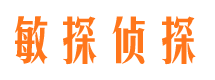 松潘市调查公司